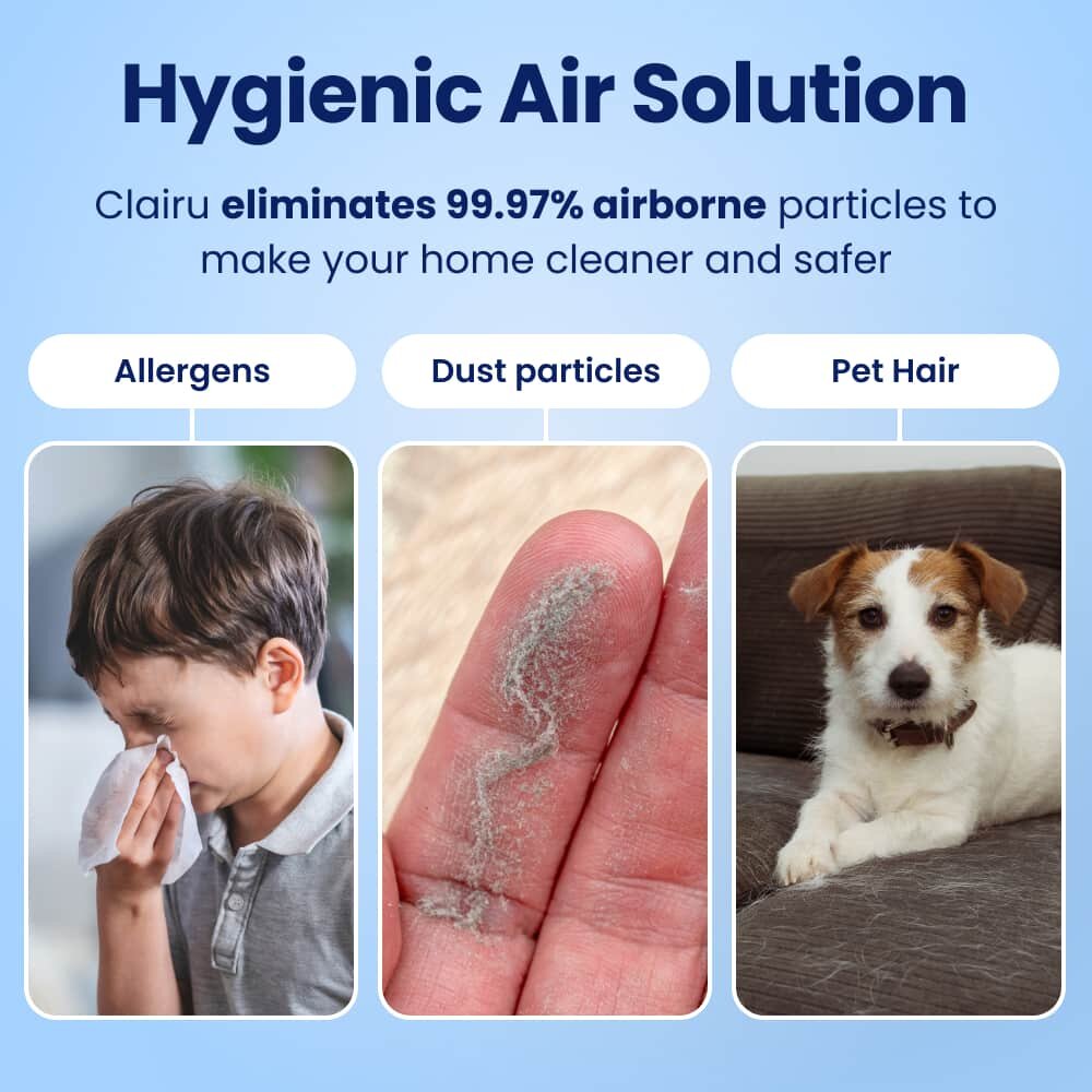 DustaCleanPro image